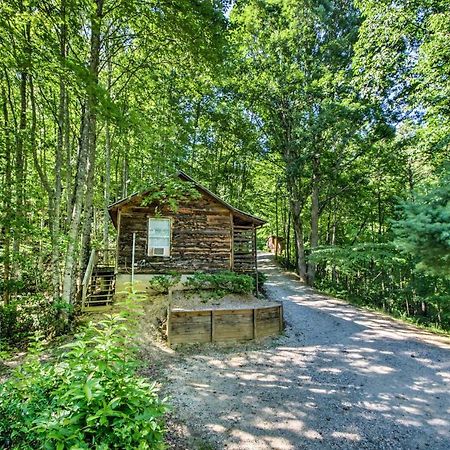 Cozy The Woodshop Cabin With Deck And Forest Views! 罗宾斯维尔 外观 照片