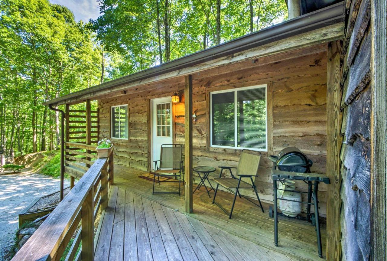 Cozy The Woodshop Cabin With Deck And Forest Views! 罗宾斯维尔 外观 照片